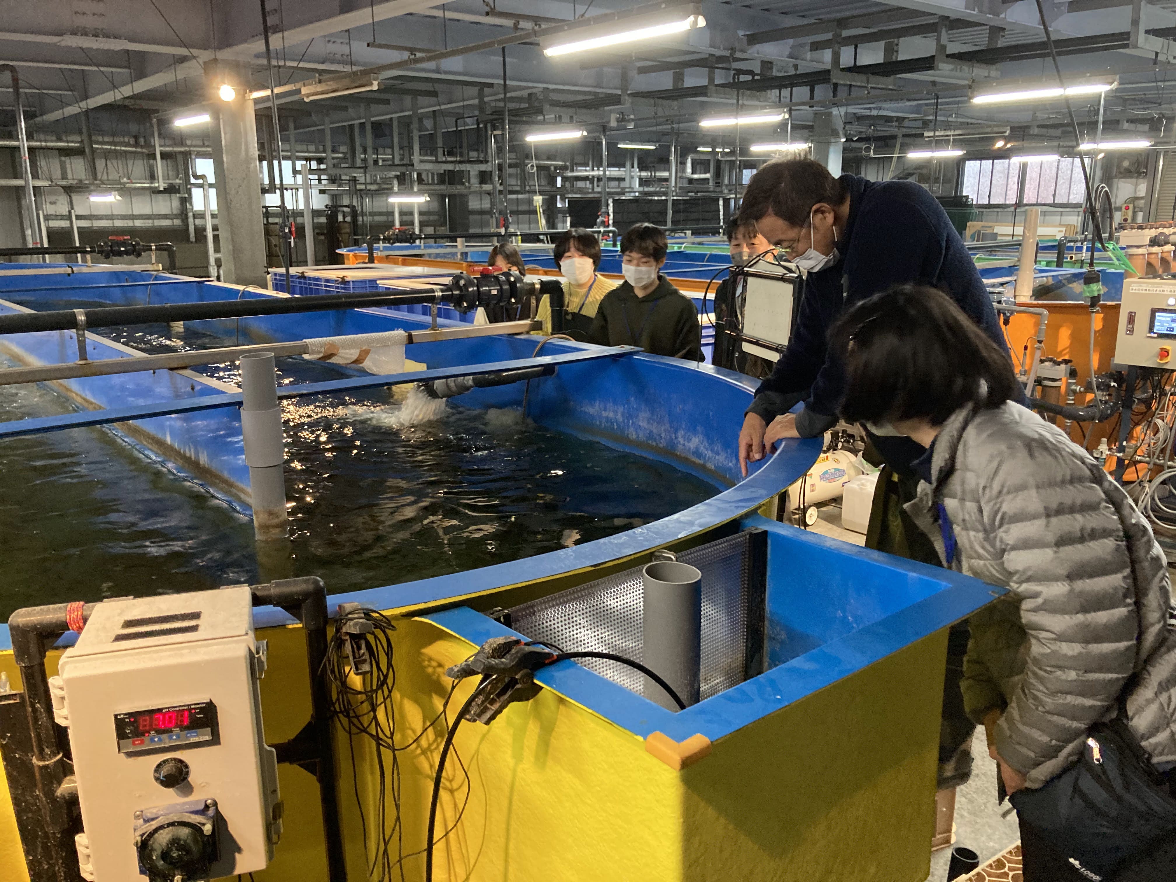 Lサイズ　岡山理大附属 岡山理大附属Lサイズ